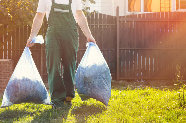 Best Basement Cleanout  in Rossville, KS